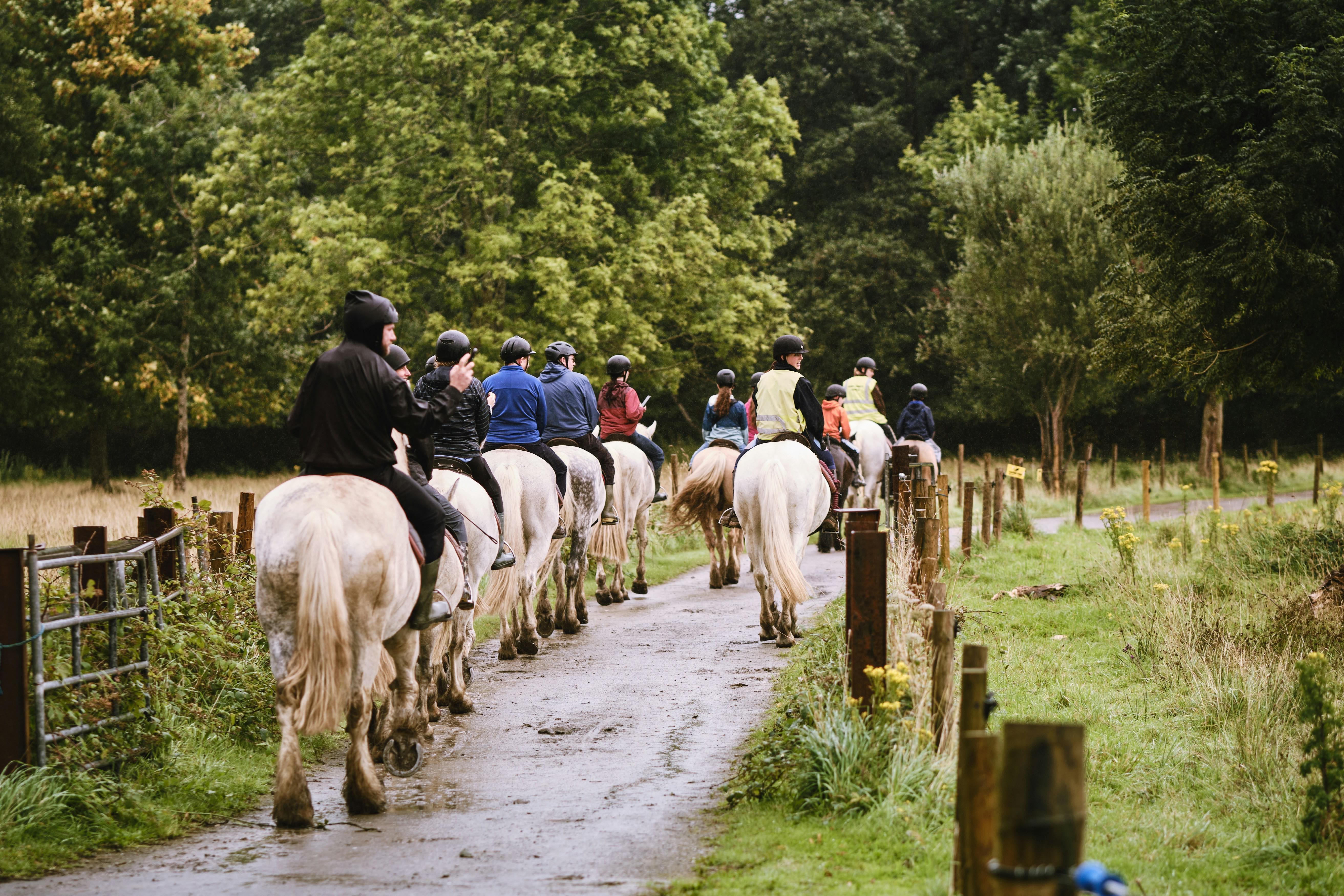 Horseback